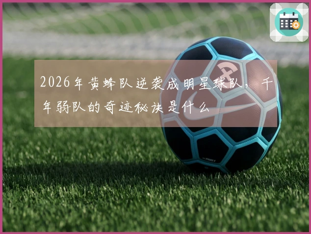 2026年黄蜂队逆袭成明星球队，千年弱队的奇迹秘诀是什么