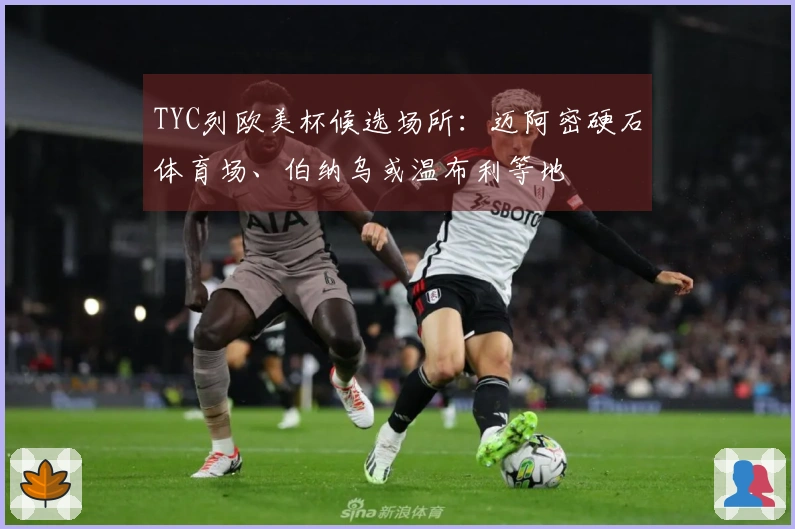 TYC列欧美杯候选场所：迈阿密硬石体育场、伯纳乌或温布利等地