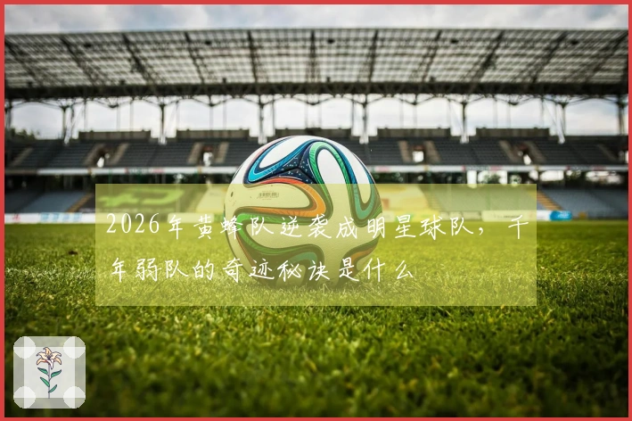 2026年黄蜂队逆袭成明星球队，千年弱队的奇迹秘诀是什么