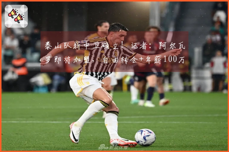 泰山队新中卫确立！记者：阿尔瓦罗即将加盟，自由转会+年薪100万